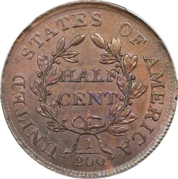 Draped Bust Half Cent 1/2c 1800-1808 MS RB [Type] MS63 RB thumbnail 2