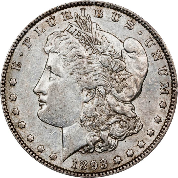 1893 $1  Doubled Stars, VAM-4 VF35 thumbnail 24