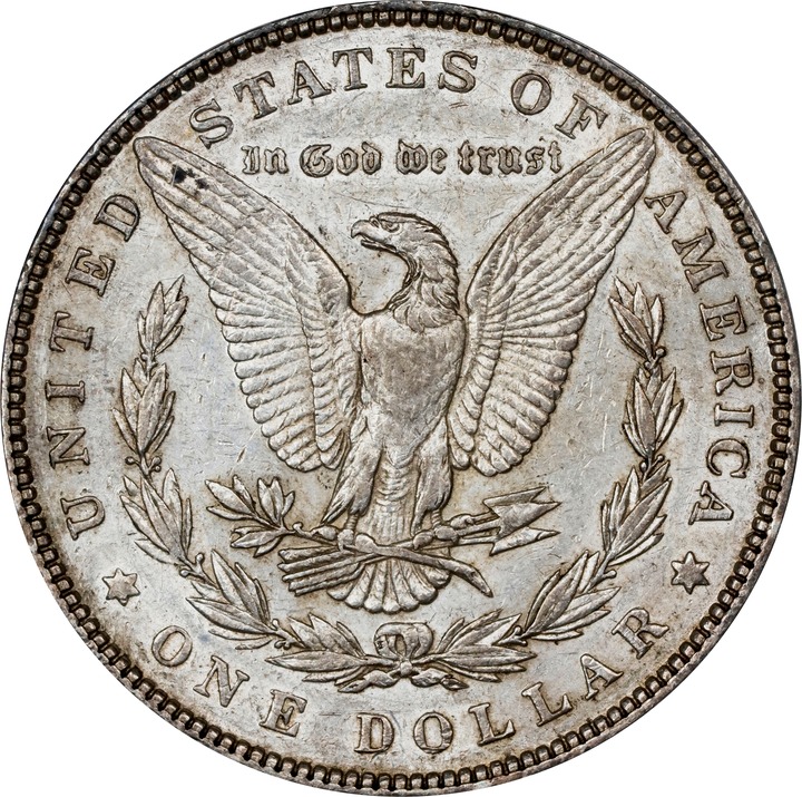 1893 $1  Doubled Stars, VAM-4 VF35 thumbnail 25