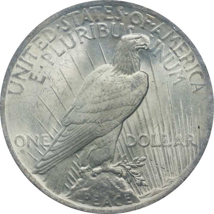 1923 $1  GSA Soft Pack MS60 thumbnail 3