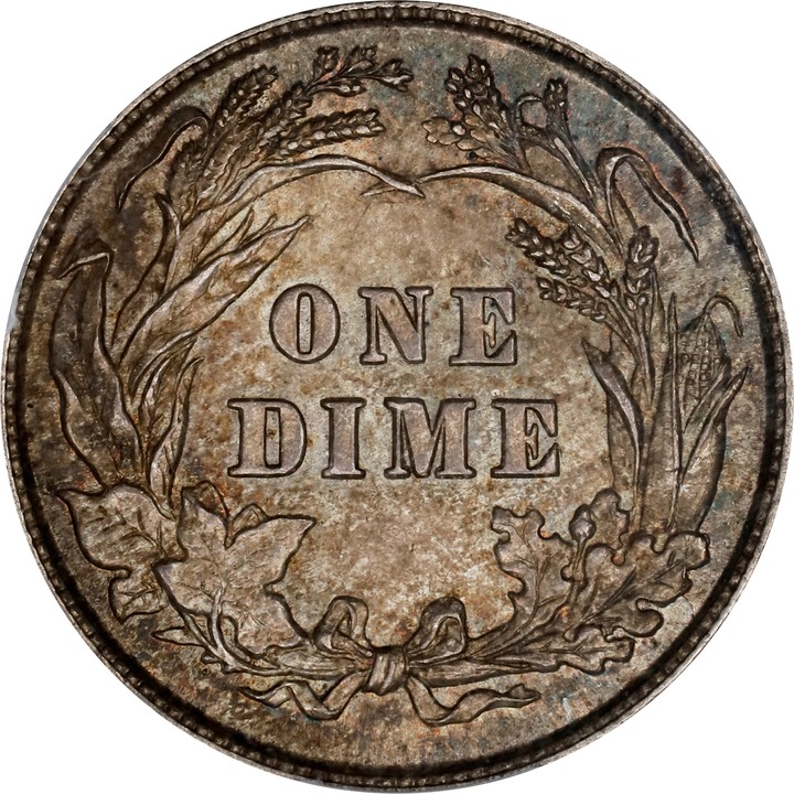 1898 10c VF20 thumbnail 19