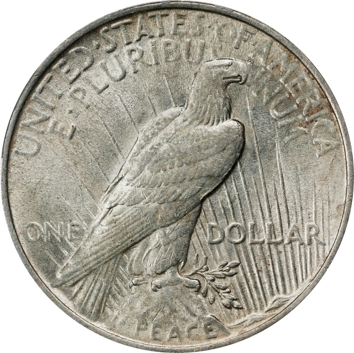 1923 $1  Whisker Jaw, VAM-1A1 F15 thumbnail 14