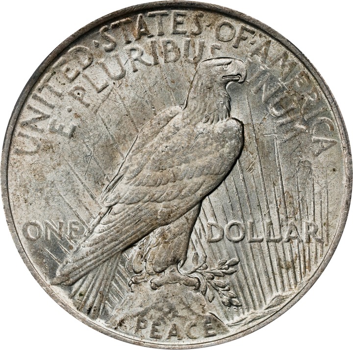 1923 $1  Whisker Cheek, VAM-1D F15 thumbnail 22
