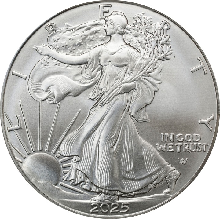 2025 S$1 Morgan MS thumbnail 10