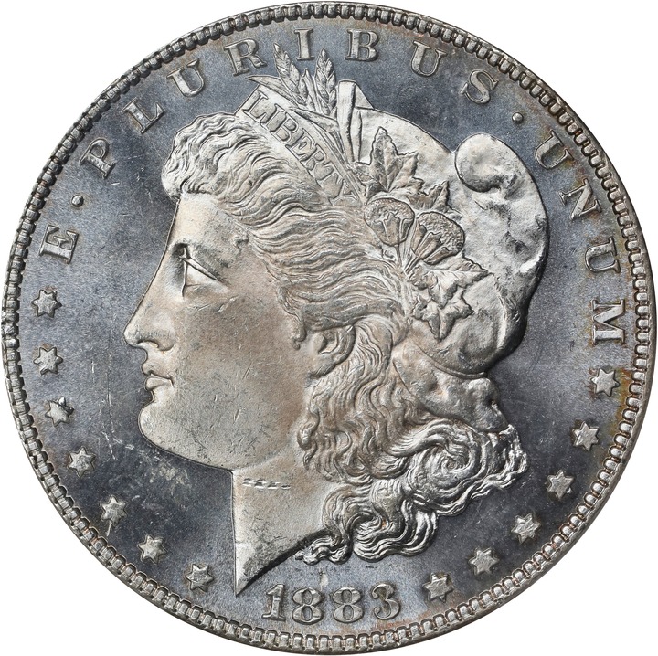 1883 $1  MS DMPL AU53 DMPL thumbnail 18
