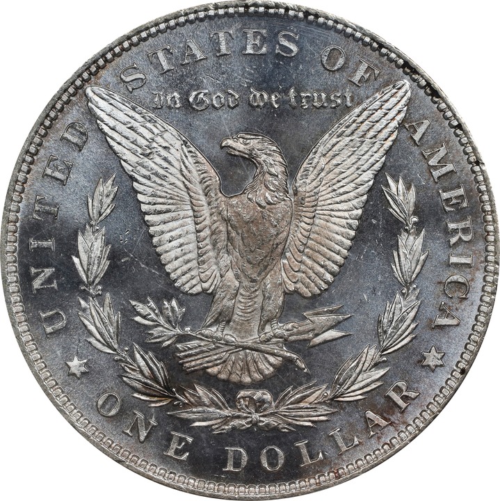 1883 $1  MS DMPL AU53 DMPL thumbnail 19