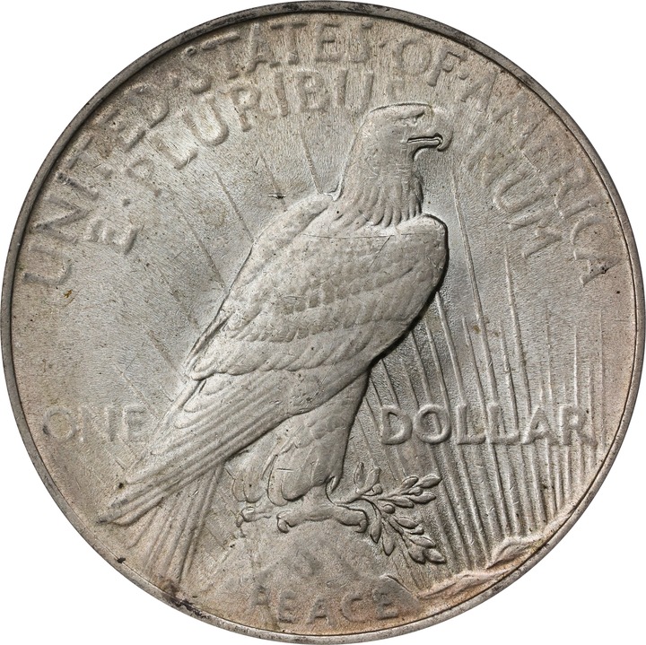 1923 $1  Whisker Jaw, VAM-1A1 F15 thumbnail 12