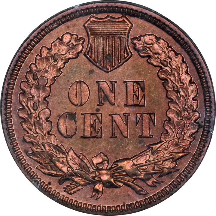 1895 1c PR RB PR65 RB CAC thumbnail 6