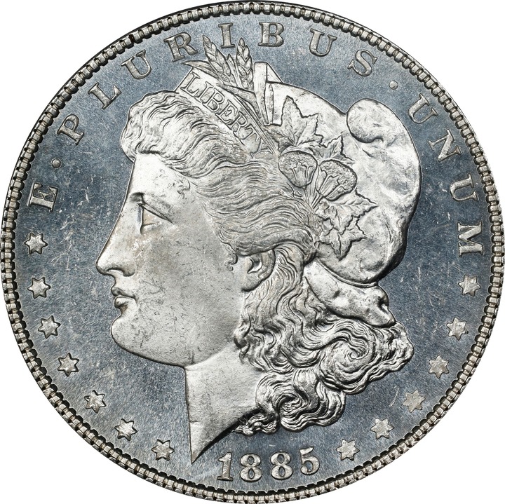 1885 $1  MS PL thumbnail 15