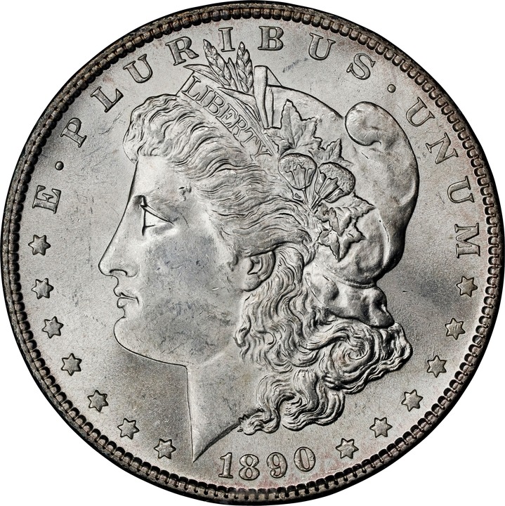 1890-S $1 VG10 CAC thumbnail 21