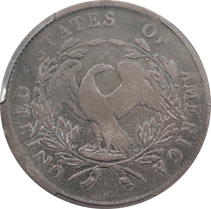 Flowing Hair Dollar $1  1794-1795 [Type] P1 thumbnail 11