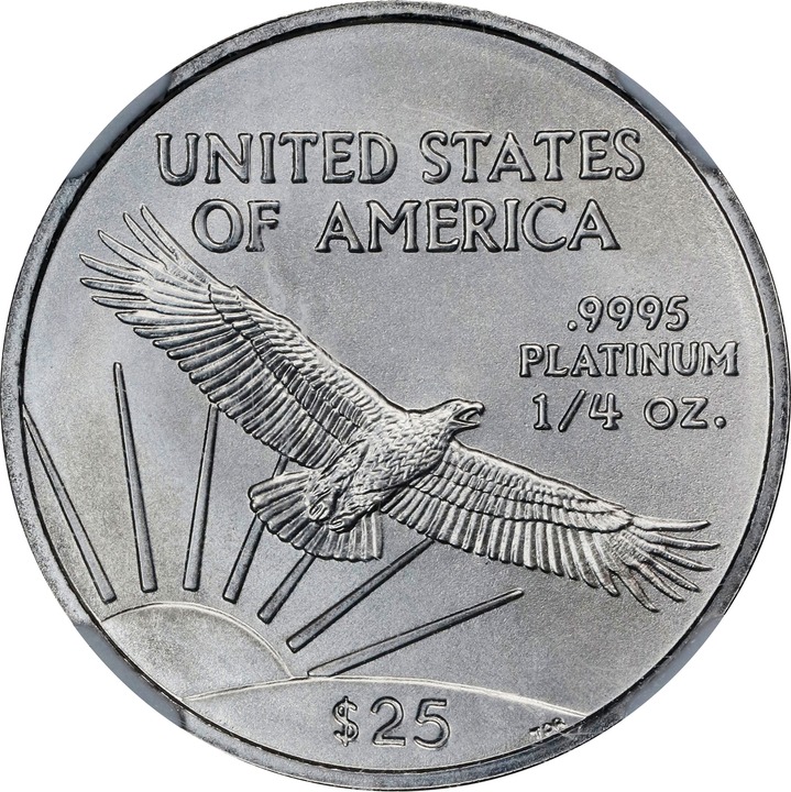 2008 $25  Platinum Eagle OGP thumbnail 15