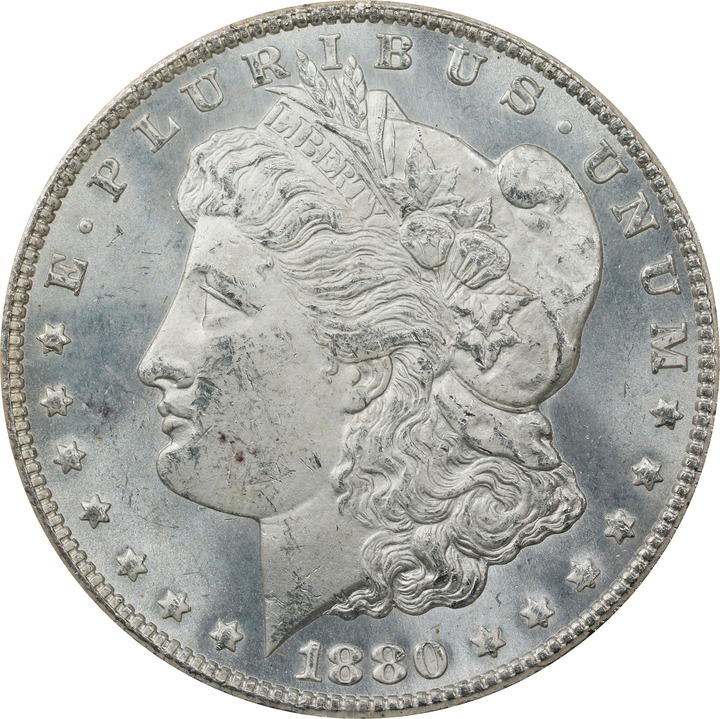 1880/79-CC $1  Reverse of 1878, GSA Hoard, Hard package, VAM-4 MS64 CAC thumbnail 5