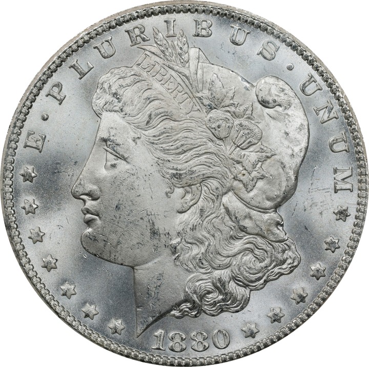 1880/79-CC $1  Reverse of 1878, GSA Hoard, Hard package, VAM-4 MS64 CAC thumbnail 3