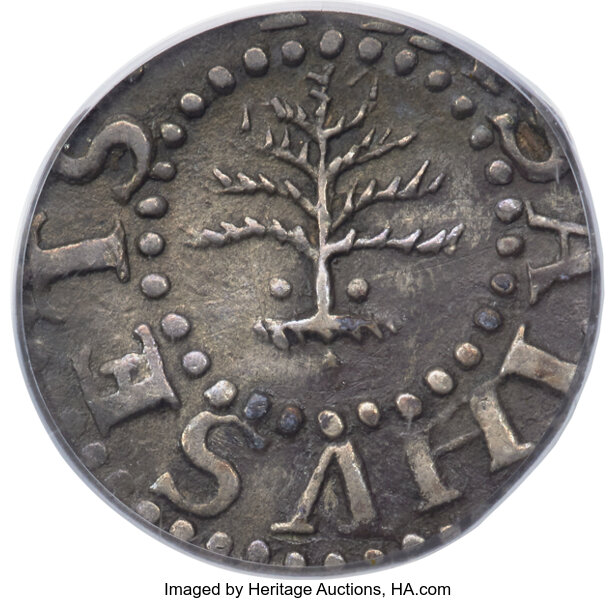 1652 3P Pine Tree MS thumbnail 2
