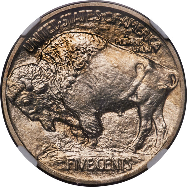 Buffalo Nickel 5c Type 1 Reverse, Matte Finish, 1913 [Type] PR66 thumbnail 4