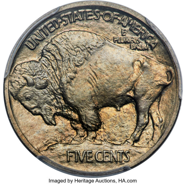 Buffalo Nickel 5c Type 1 Reverse, Matte Finish, 1913 [Type] PR65 thumbnail 6