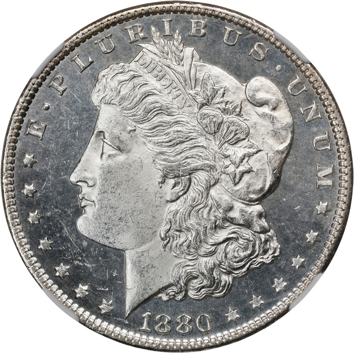 1880 $1  MS PL AU53 PL thumbnail 13