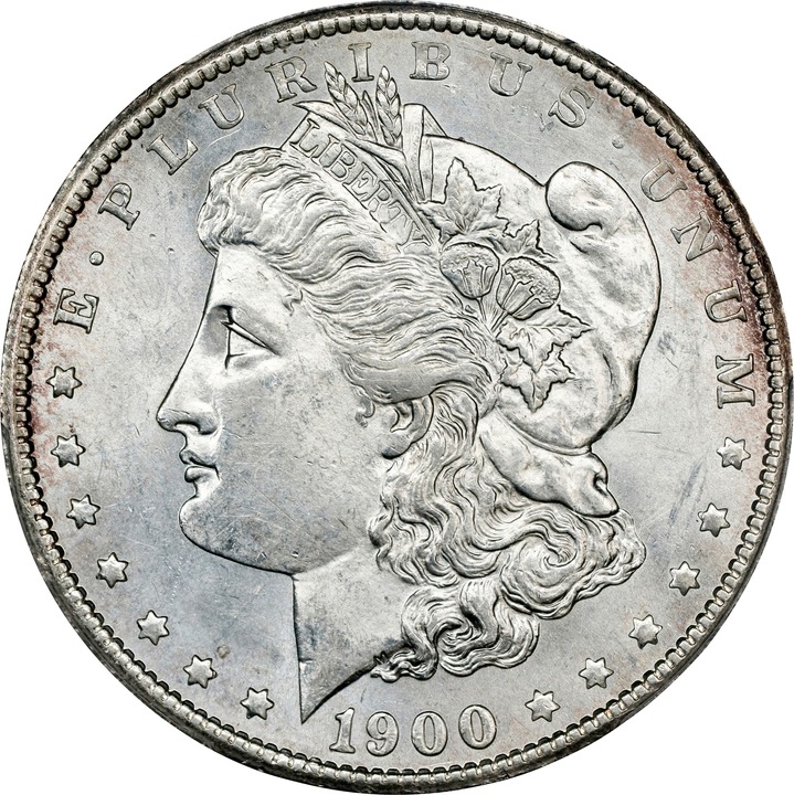Image for 1900-S $1 MS61 CAC