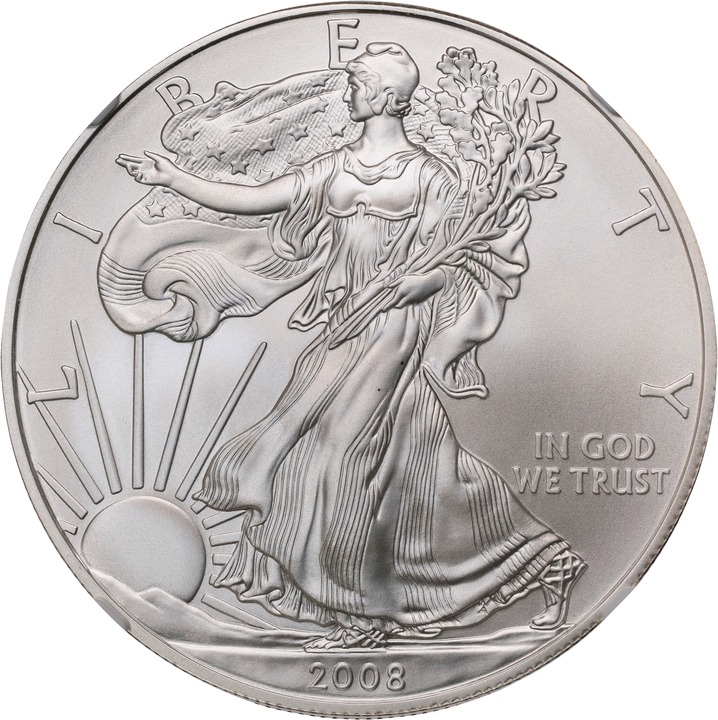 2008-W $1  Silver Eagle, Burnished, Reverse of 2007 OGP thumbnail 5