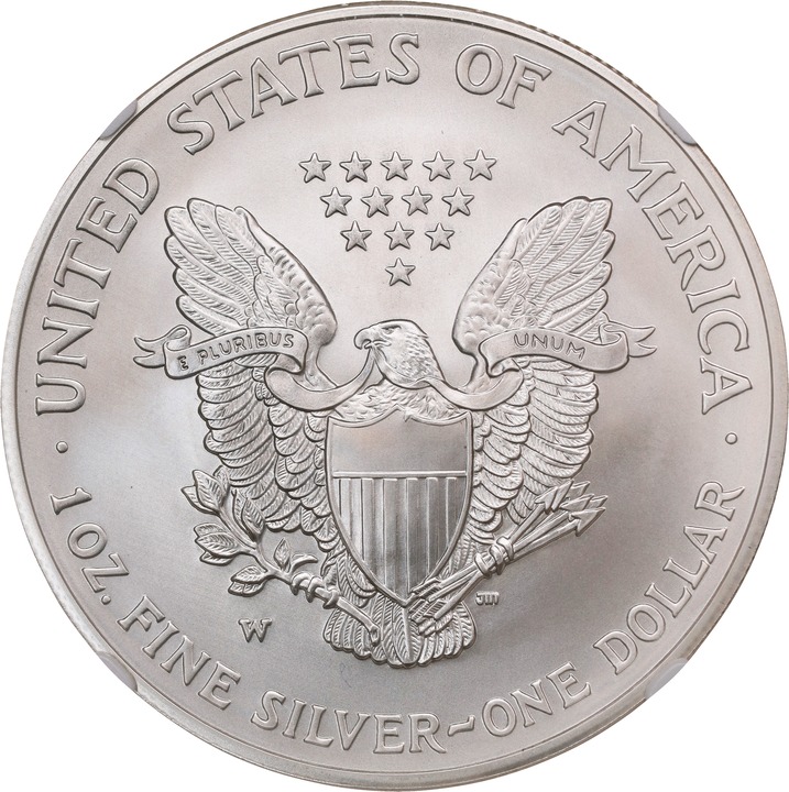 2008-W $1  Silver Eagle, Burnished, Reverse of 2007 OGP thumbnail 6