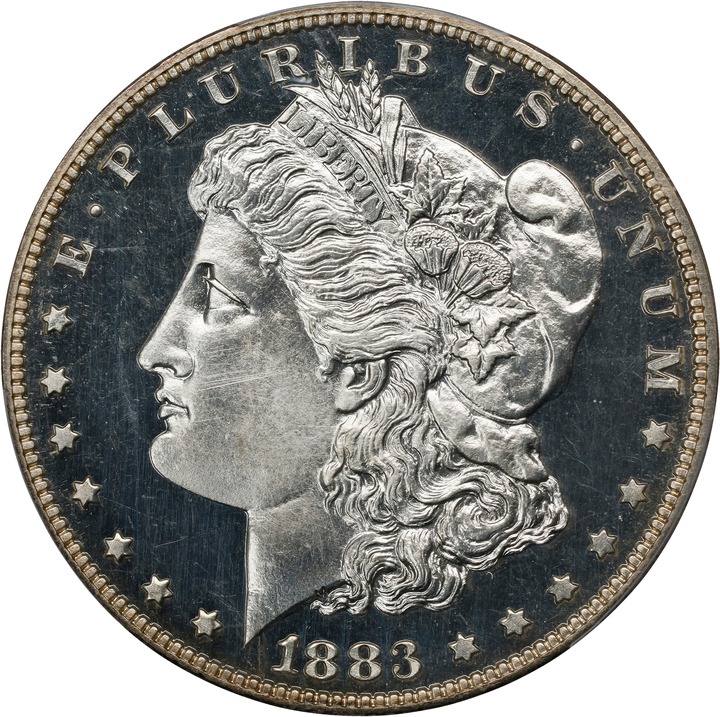 Image for Morgan Dollar $1  1878-1921 PR CAM [Type] PR60 CAM