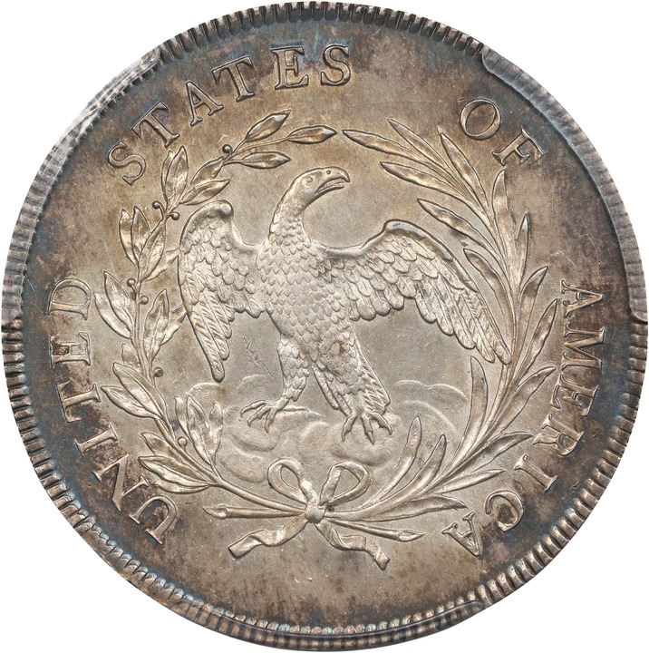 1795 $1  Draped Bust, Off-Center Bust MS63 thumbnail 14