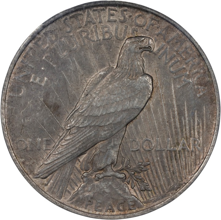1923 $1  Whisker Cheek, VAM-1D F15 thumbnail 2