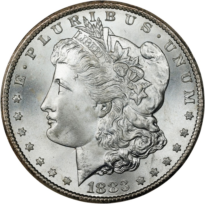 1883-CC $1  GSA Hoard, Hard package MS66 thumbnail 3