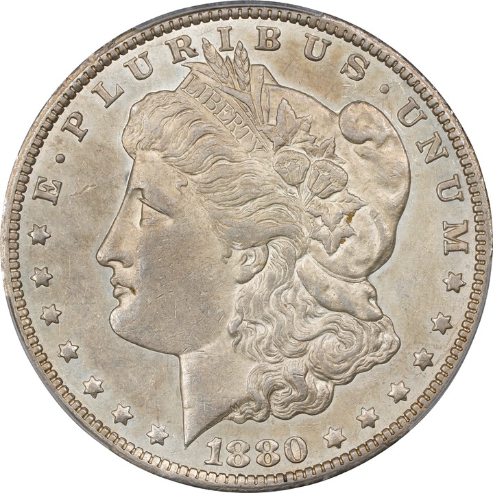 1880/79-CC $1  Reverse of 1878 AG2 thumbnail 3