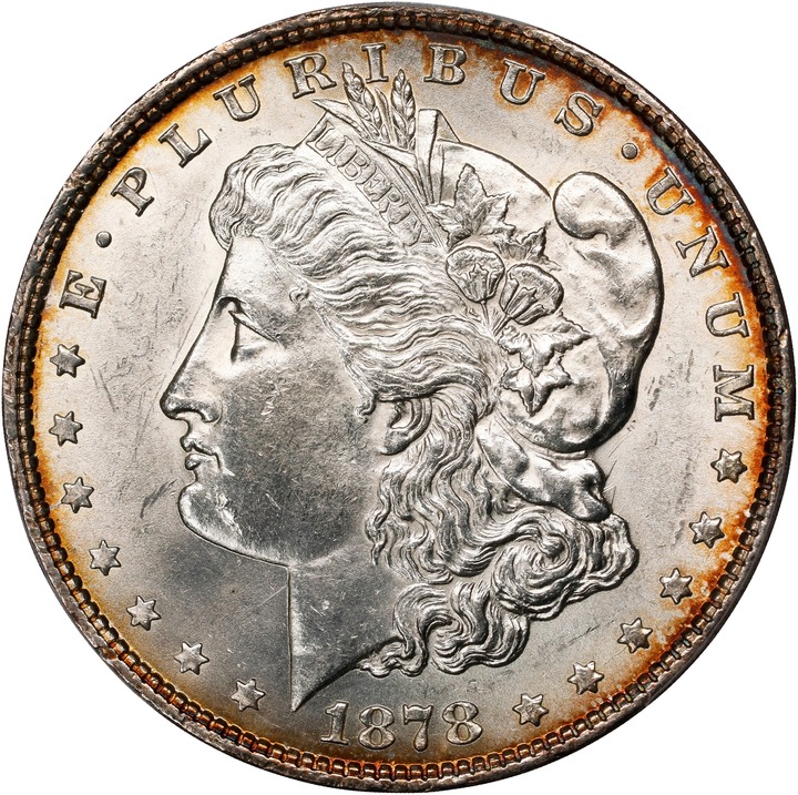 1878 8TF $1  Alligator Eye, VAM-14.1 VF30 thumbnail 14