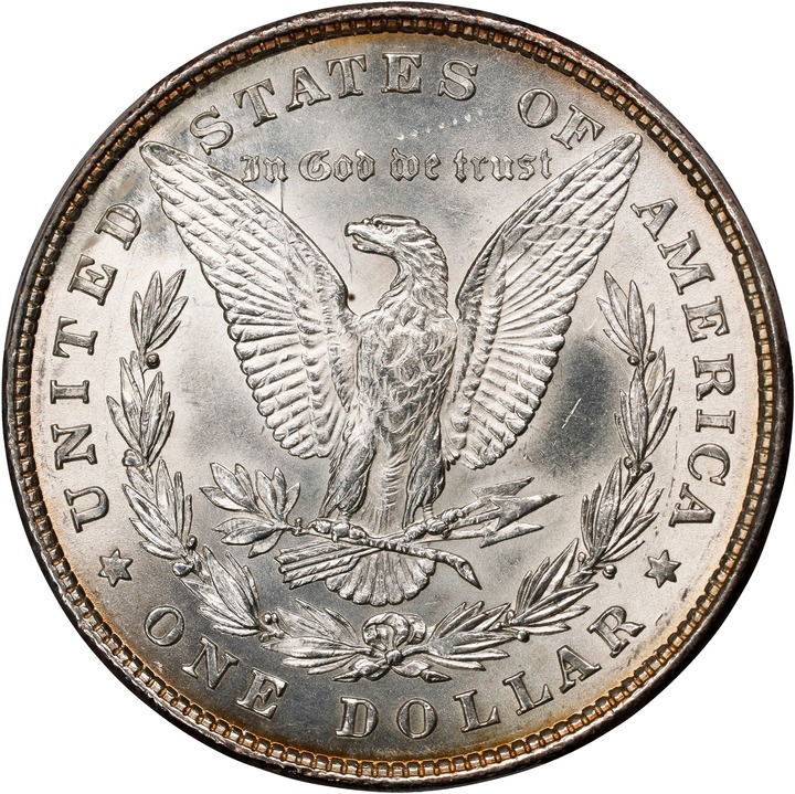 1878 8TF $1  Alligator Eye, VAM-14.1 VF30 thumbnail 15
