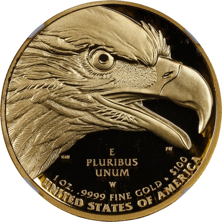 2021-W G$100  1oz Gold, American Liberty, Mustang PR DCAM thumbnail 18