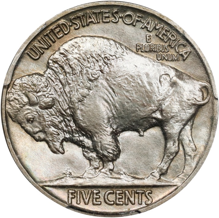 1913 5c Buffalo, Matte Finish, Type 2 PR66 thumbnail 2