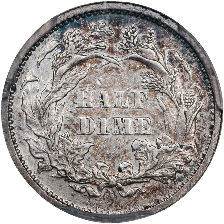1866 H10c MS thumbnail 19