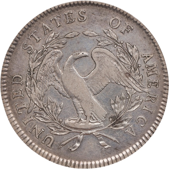 1795 $1  Flowing Hair, 3 Leaves MS60 thumbnail 24