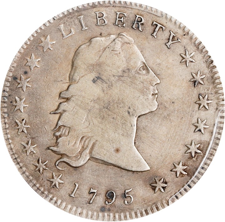 1795 $1  Flowing Hair, 3 Leaves MS thumbnail 11