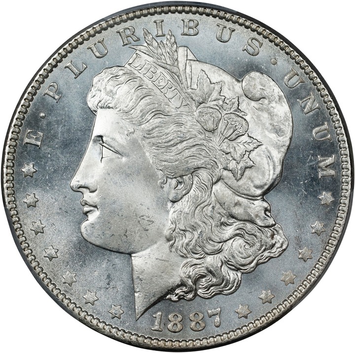 1887 $1  MS PL thumbnail 10