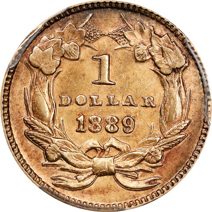 1889 G$1 F15 thumbnail 17