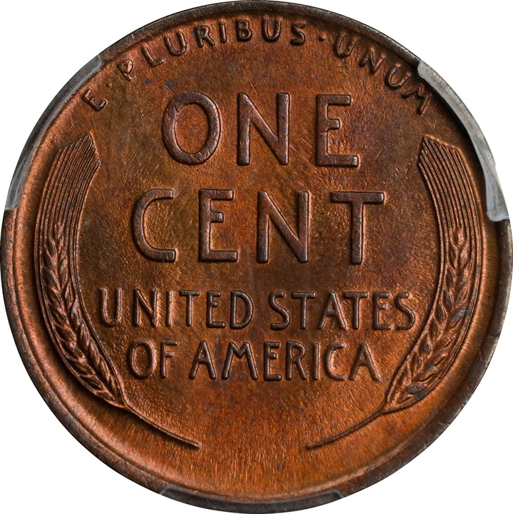 1924 1c MS RB MS65 RB thumbnail 4