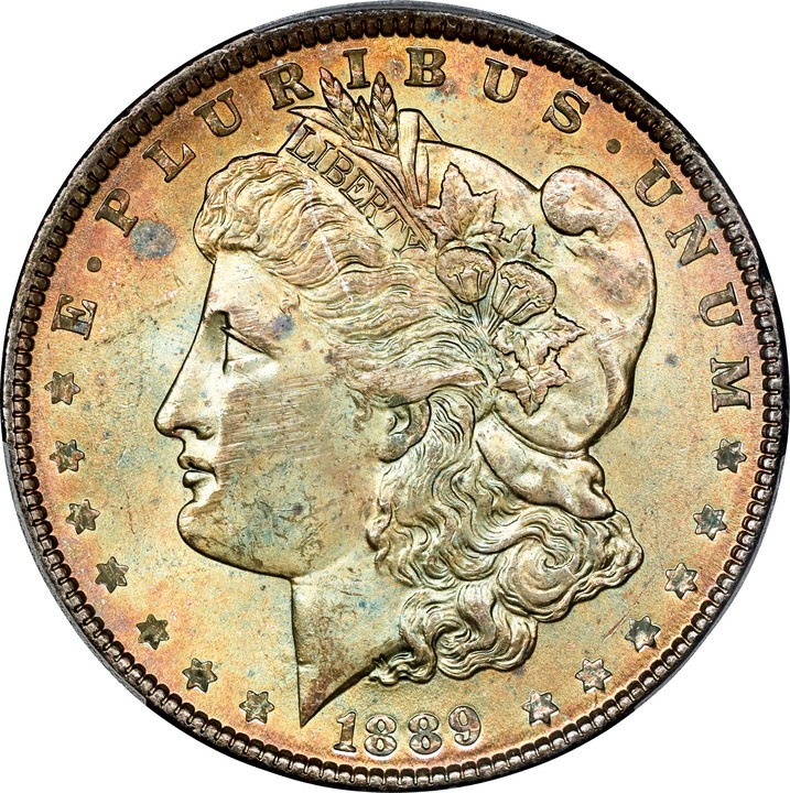 1889 $1 VG10 CAC thumbnail 5
