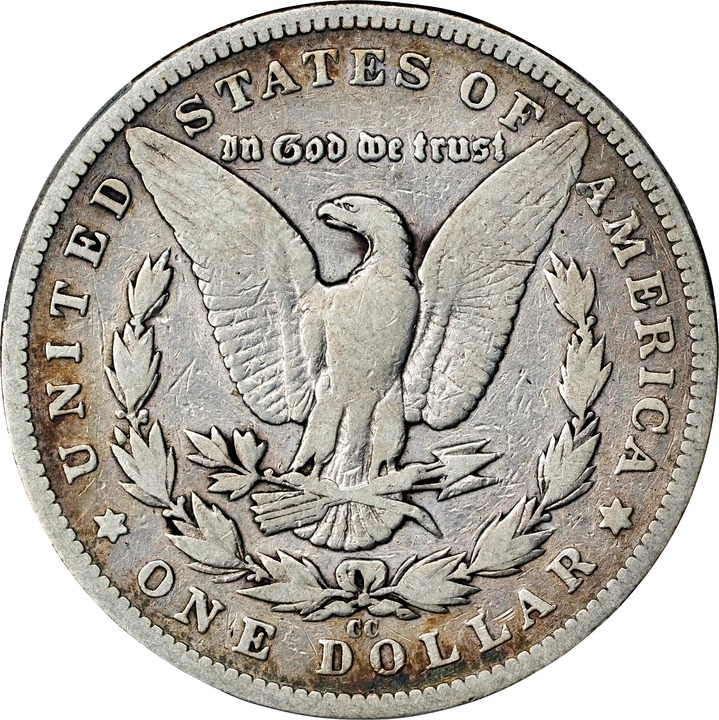 1893-CC $1 AG2 thumbnail 8