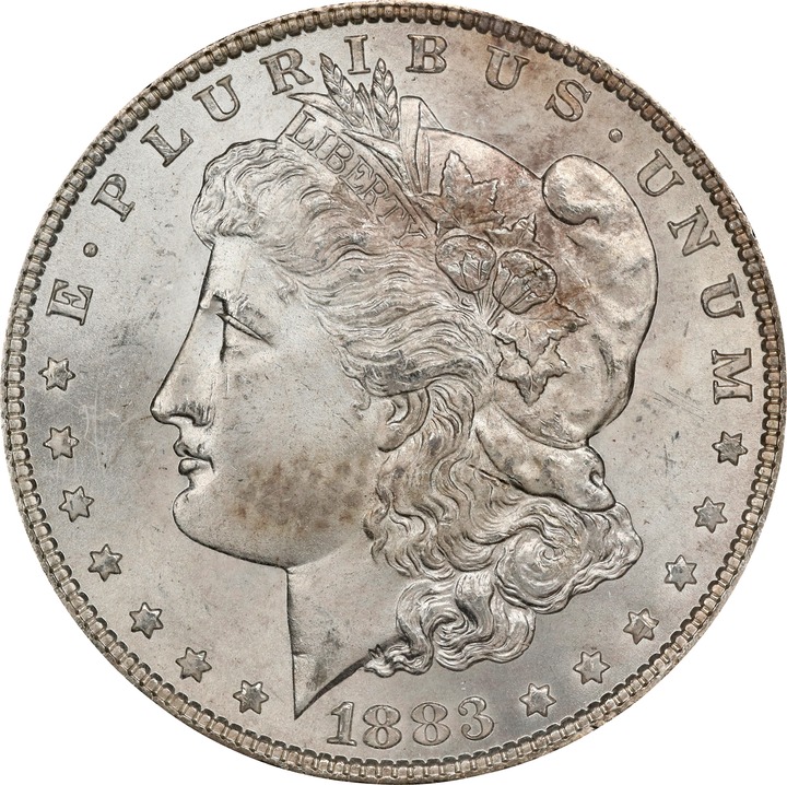 Image for 1883 $1  GSA Hoard, Soft Package MS65