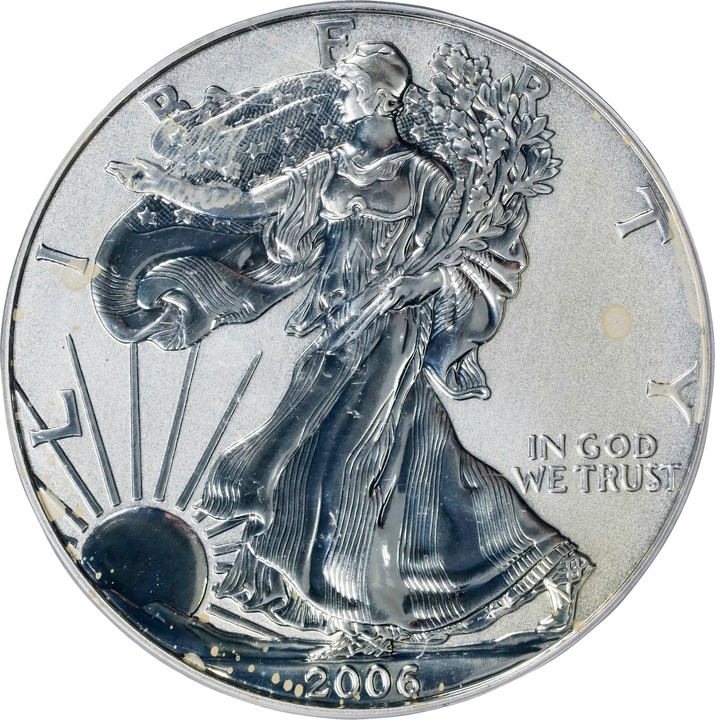 Image for 2006-P $1  Silver Eagle, Reverse Proof PR70