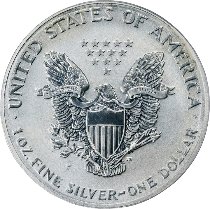 2006-P $1  Silver Eagle, Reverse Proof PR70 thumbnail 2