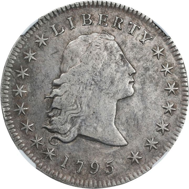 1795 $1  Flowing Hair, 3 Leaves MS thumbnail 8