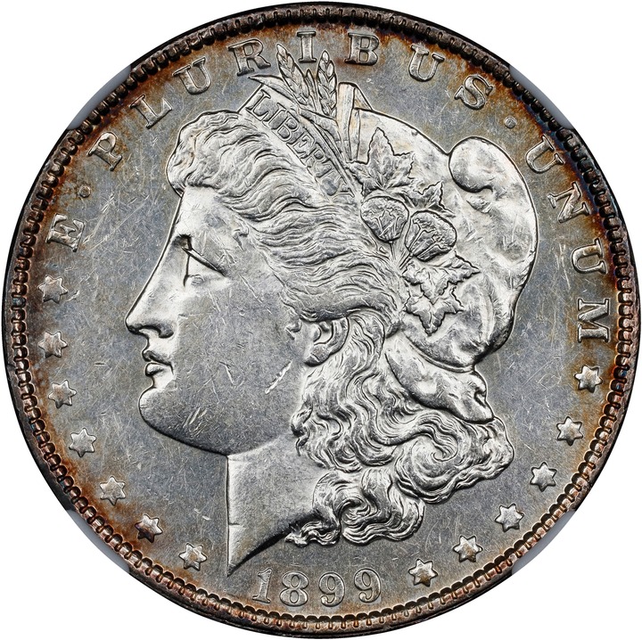 1899 $1 VF30 thumbnail 23