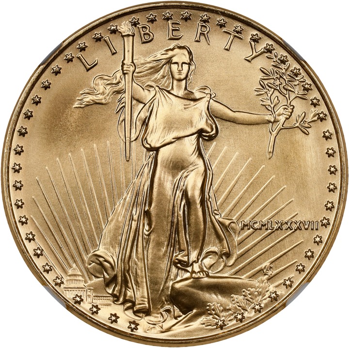 American Gold Eagle (AGE) G$25  1/2 Ounce, 1986- [Type] MS70 CAC thumbnail 3