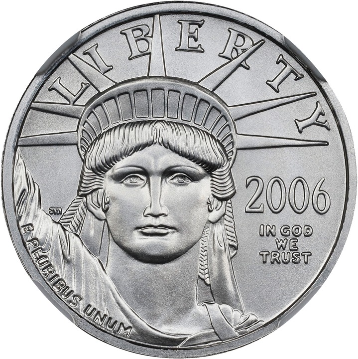 2006-W $25  Platinum Eagle, Burnished MS66 thumbnail 22