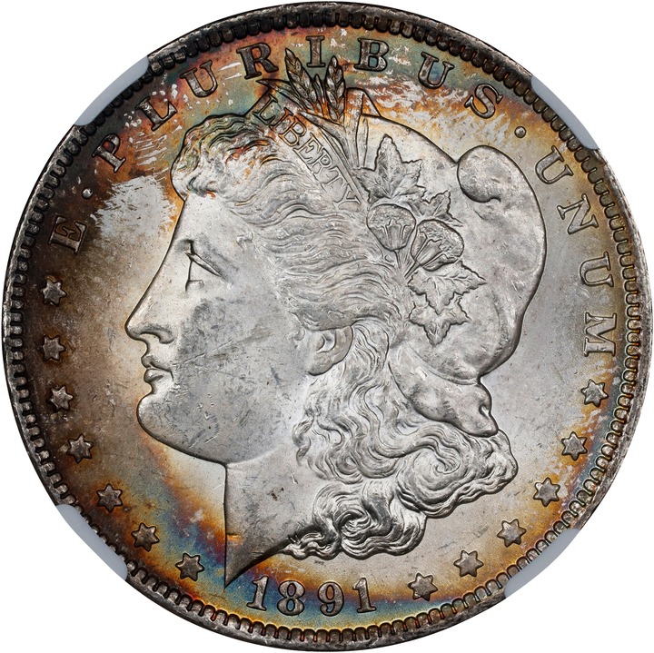 1891-CC $1  Spitting Eagle, VAM-3 MS62 thumbnail 2